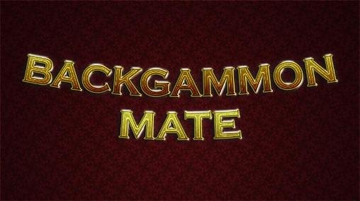 game pic for Backgammon mate